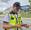 Bezpečný návrat z prázdnin a poté bezpečná cesta do školy